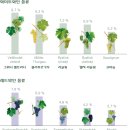 모라비아와인 이미지