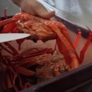 🦀홍게 찌는 법부터 맛까지 영덕농수산 제철 홍게 후기