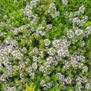 글라스타임 이미지