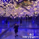 그림 속 고래가 살아 춤추다 | 울산 아이랑 가볼만 한곳 태화강동굴피아 주차장 입장료 솔직후기