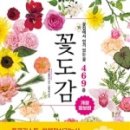 정직팜플라워