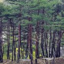 STX오토캠핑장 이미지