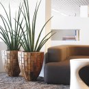 식물 인테리어 이미지