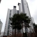 스타501 이미지