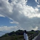 후니상점 | [오키나와 3박 4일] 2일차,하루하루 북부버스투어 후기