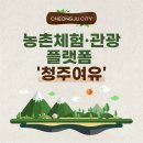 천재일우 | [11월콘텐츠/천재일우] '청주여유' 청주시 관광 플랫폼 사이트 소개 및 이용 후기