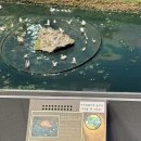 기차마을은초록민박 | 14개월 아기와 주말 실내 나들이 ‘노원 기차마을 스위스관’ 다녀온 후기✨