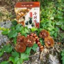 산내들흑염소 이미지