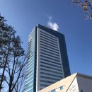 국민건강보험공단 이미지