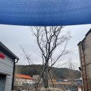 명석중학교 | 경남 진주 명석면 산악인 사장님의 자연친화적인 대형카페 빌라 에베레스트 내돈내산 후기