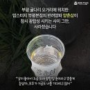 맘스터치부평 이미지