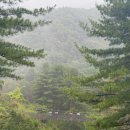 겨울연가펜션 | 내맘대로 재구성하는 가평 1박2일 가을여행 코스 (아침고요수목원, 남이섬, 숙소, 맛집)