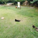 바다애펜션민박 이미지