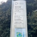 501타워 | 상하이타워 전망대 현장예매 방문팁 포토스팟 준비물 후기 광고없음