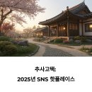 힐링숲협동조합 | 수선화 물결 속 힐링 한옥 여행, 예산 추사고택에 빠지다