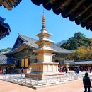 신평동1071 | 2023.03.30.~31. (feat. 1박2일 경주 벚꽃 가족여행 / 간단한 숙소후기를 곁들인)