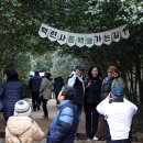 강진-14 이미지