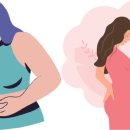 더(The) 메디칼 이미지