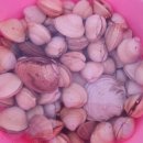 파인앤애플 펜션 이미지