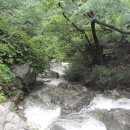진흥사 - 중구 명륜로 43-4 | 진흥사