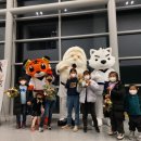 스테이 하시 이미지