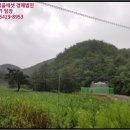 복골천 네이버블로그