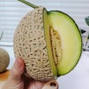 도포원예정보화마을 이미지