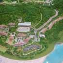 동강시스타 이미지