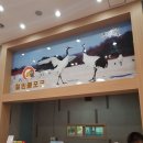 철원포크타운