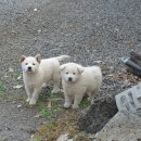 위미문화의 집 이미지