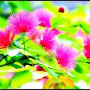 병천순대 나주곰탕 이미지