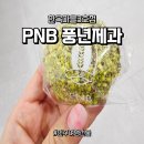 5858 | <전주여행 선물> 풍년제과 초코파이 보관 방법 &amp; 만주 솔직한 후기