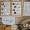 이티콩 이미지