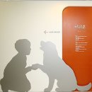 이리온 동물병원 | [이리온 동물병원] 청담 이리온 후기 ^-^