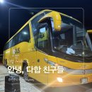 소요라이트하우스 | [이집트] 다합에서 카이로 가는 방법｜Go Bus 야간버스 후기 (feat. 다합 마지막 밤)
