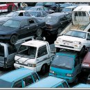 신태평양 이미지