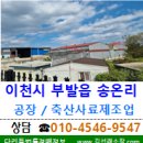 이푸른주식회사