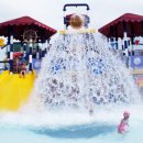 파라다이스스파도고 이미지