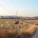 유기농라이프 이미지