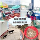 지에스25 삼척임원항 | 임원항 회센터 숨은 포인트 위치! 삼척 제철 깨다시꽃게