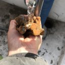 김수형공방 이미지