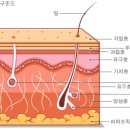 케이엠구조 이미지