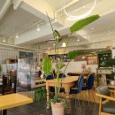 앙쥬베이커리 이미지