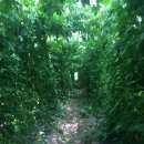 여주-0524 이미지