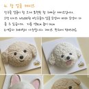 투테일스 | 성수동 강아지 주문제작 생일케이크, 투테일스 내돈내산 솔직후기♥︎