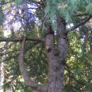 영천약수 이미지