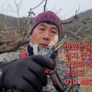 동광전지 이미지