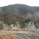 스트로마톨라이트 이미지