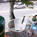피자알볼로대치 이미지