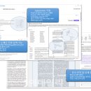 폴라리스 이미지
